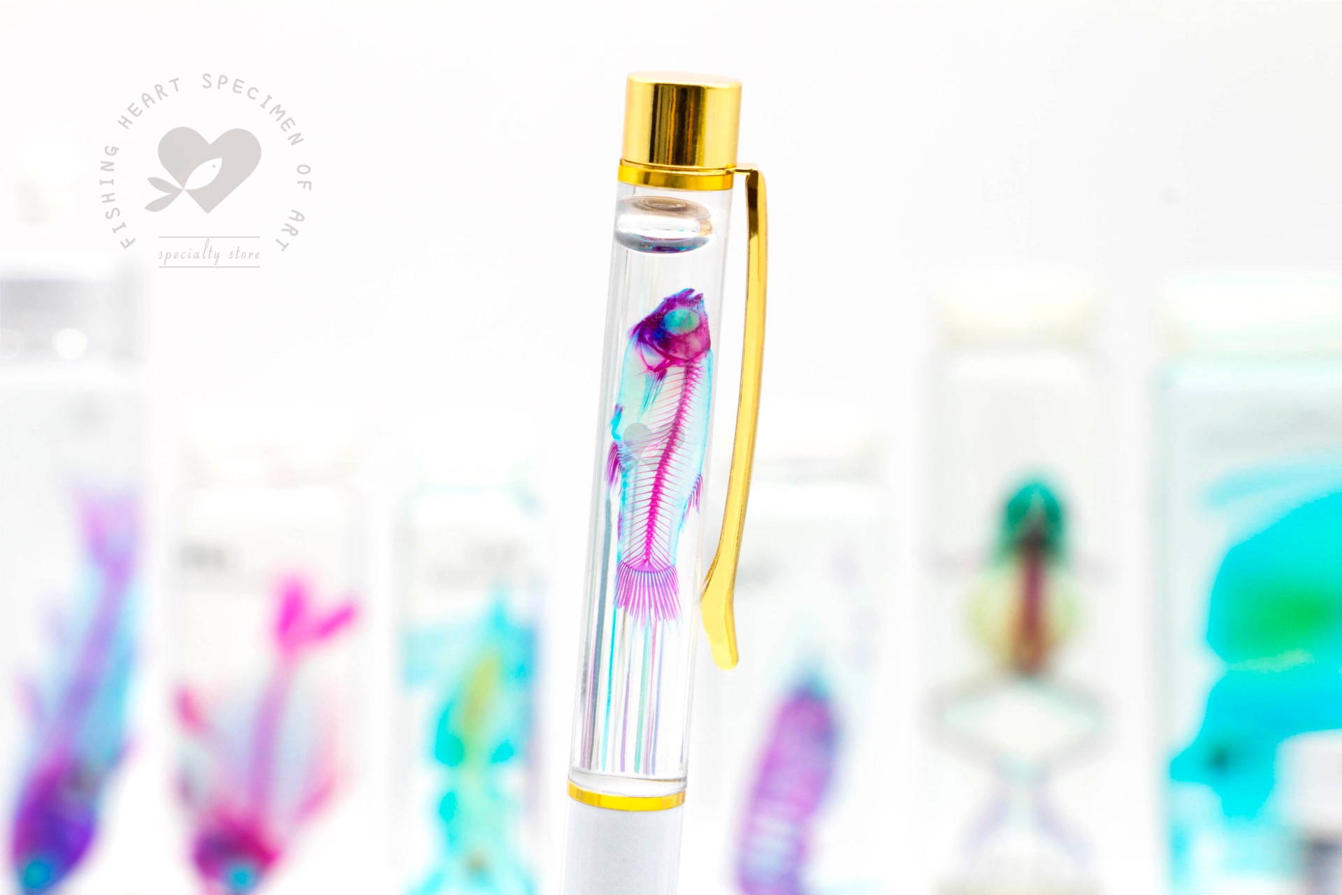 魚骨標本（點圖詳細看）